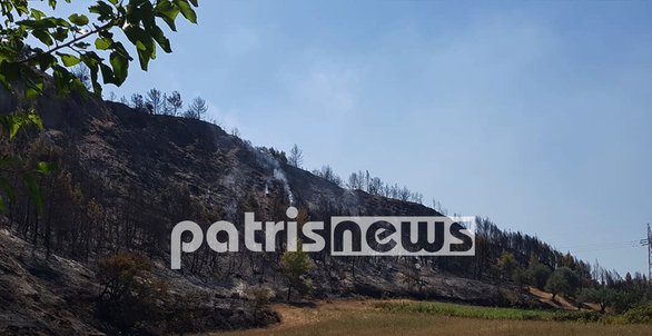 Θλιβερές εικόνες στην Ηλεία - Καμμένη γη άφησε πίσω της η πυρκαγιά στα χωριά της Ολυμπίας