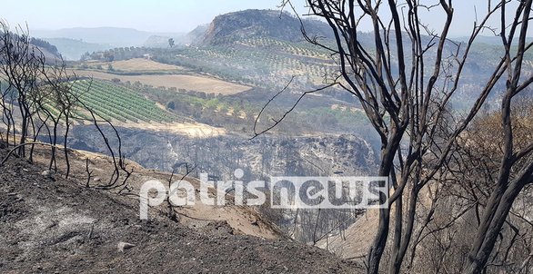 Θλιβερές εικόνες στην Ηλεία - Καμμένη γη άφησε πίσω της η πυρκαγιά στα χωριά της Ολυμπίας